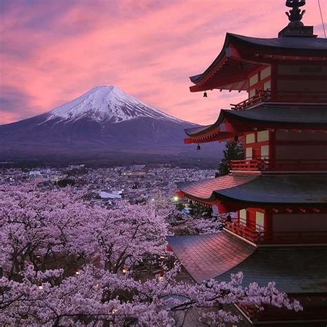 pinyreeltv|pinterest japan.